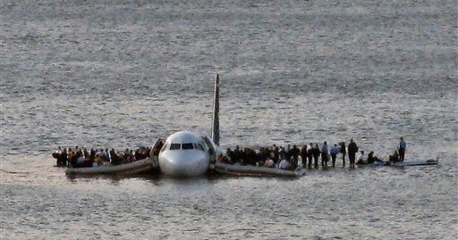 Bird's Eye View, Once again a bird made a crash-landing at …