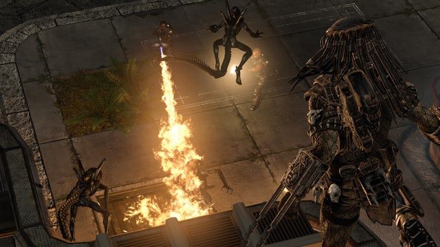 AVP_MP_03_2.jpg 