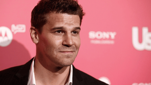 David Boreanaz 