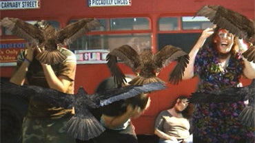 A scene from "Birdemic: Shock and Terror," James Nguyen's homage to Alfred Hitchcock, but a lot cheaper and with more unintended humor. 