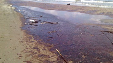 The beach at Grand Isle Beach, La., covered in oil, Friday, May 21, 2010.  