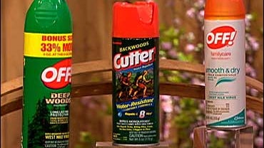 Bug spray cans 