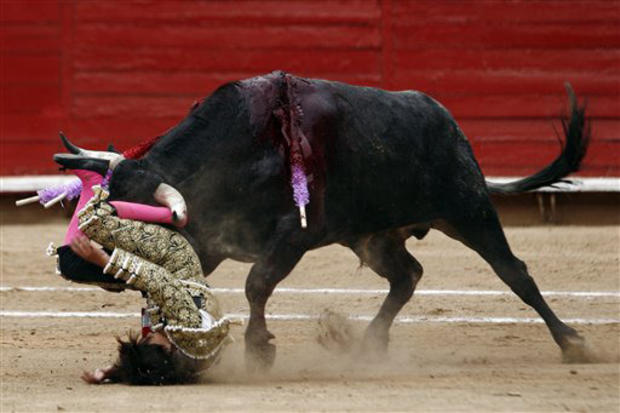 bullfighterdown.jpg 