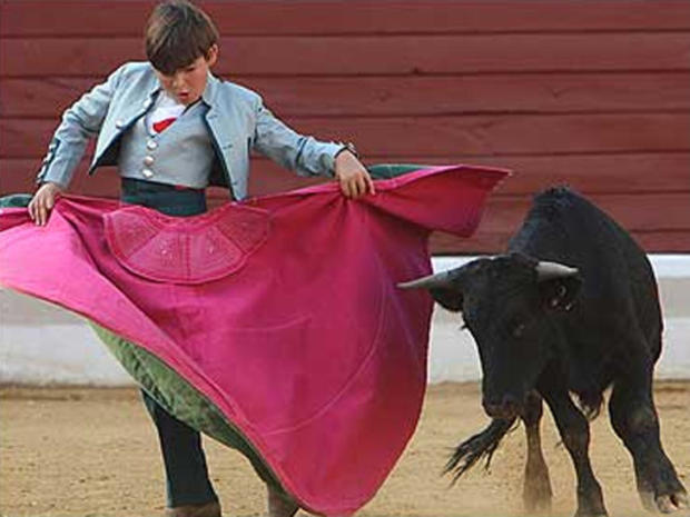 bullfighteryounger.jpg 