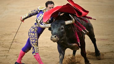 Bullfighting 