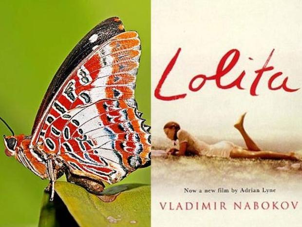 Nabokov_and_Butterfly.jpg 