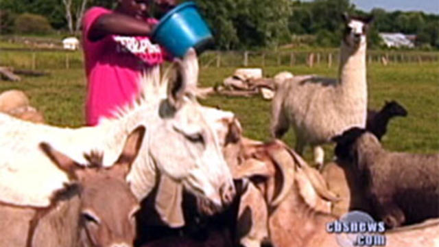 Josh Rice, 19, hopes to become a veterinarian after he cared for animals at Chenoa Manor, an animal sanctuary in Avondale, Pa. He's been accepted into the University of Maryland. 