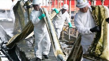 Contract employees for Miller Environmental Services scrub containment boom the old fashioned way in Grand Isle, La., Thursday Aug. 5, 2010. A more effective machine is in its second week of use but they are still using workers to scrub to get as much don 