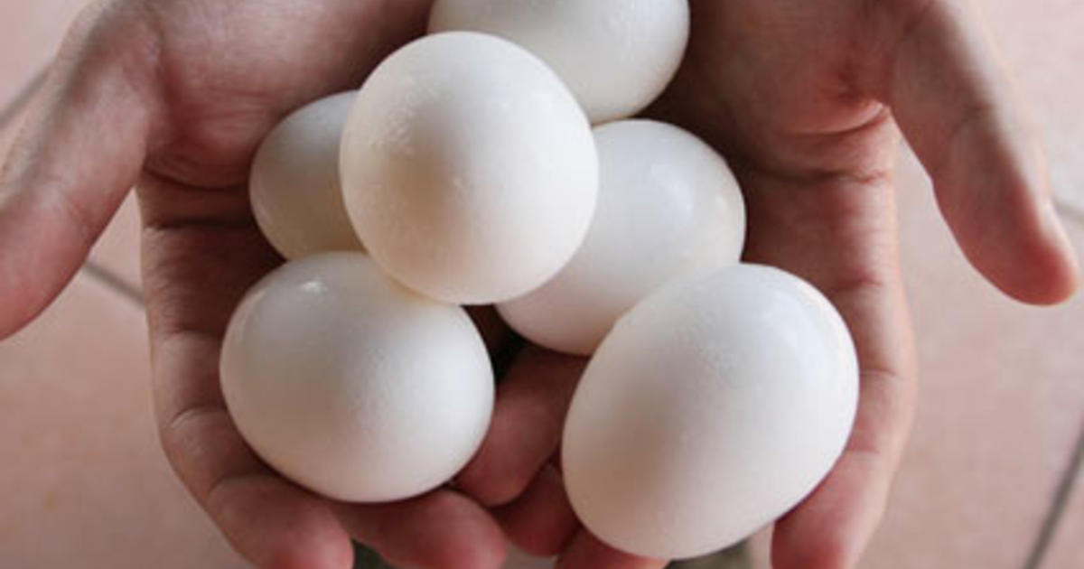 Recalled Eggs Could Wind up on Store Shelves CBS News