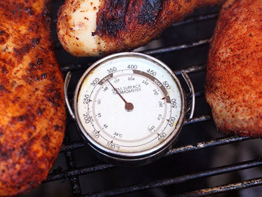 meat, thermometer, food poisoning, generic, stock 