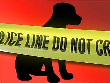 Dutch Man Bites Police Over Pet Peeve, Says Report 