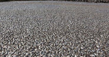 Massive La. Fishkill Prompts Oil Spill Questions CBS News