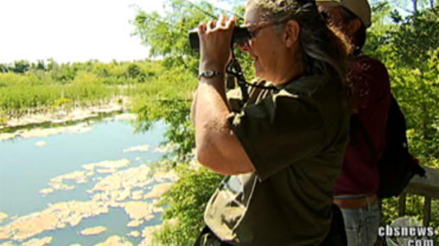 Susan Knock is one of an estimated 48 million birders in this country.  