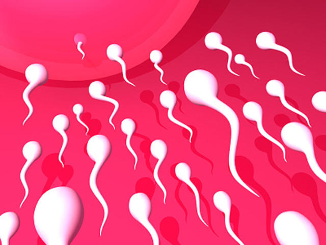We Looked Into Whether Tight Underwear Is a Sperm-Killer