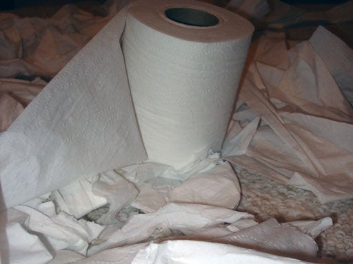 "Toilet Paper Bandit" Pleads Guilty in Nebraska, Hangs Up the 2-Ply 