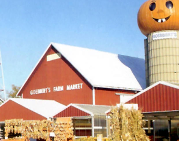 goebberts-pumpkin-farm-barrington 