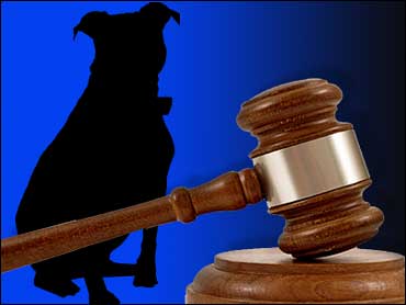 Man Accused of Castrating Dog Without Permission 