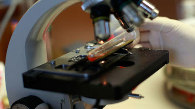 microscope-and-test-tube.jpg 
