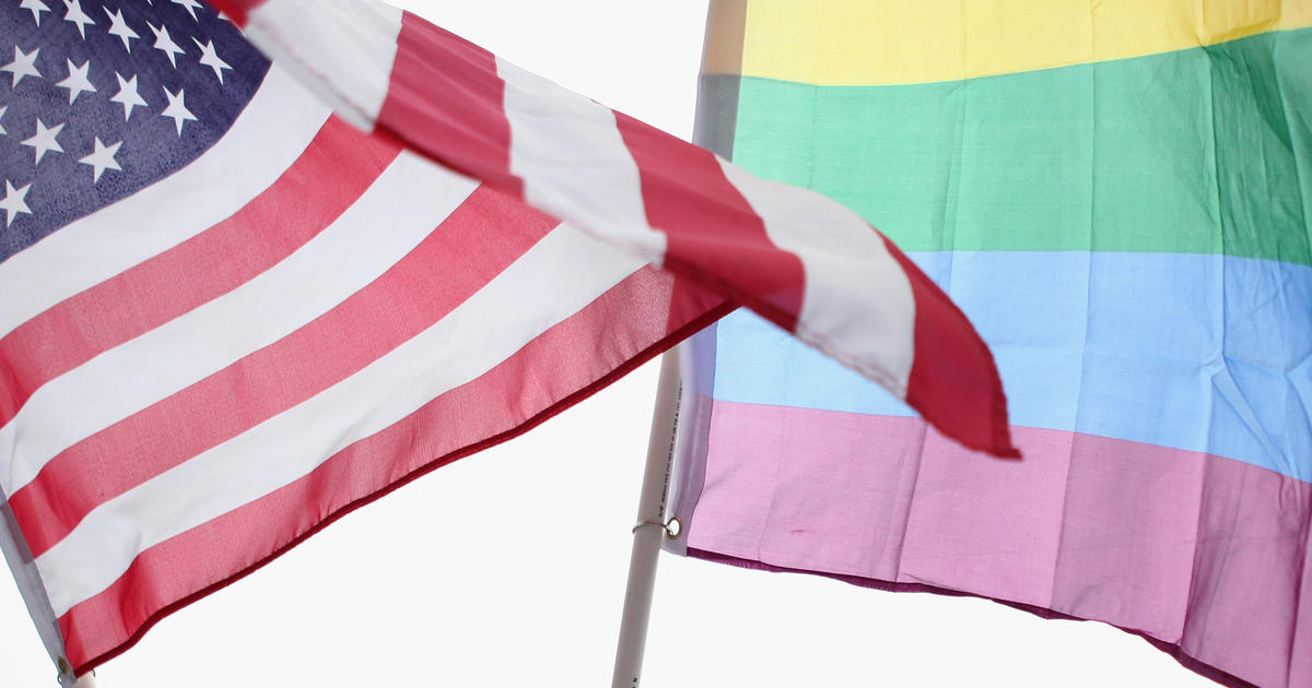 dems gay pride flags in schools