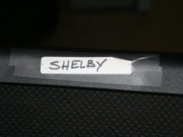 shelby-chair.jpg 