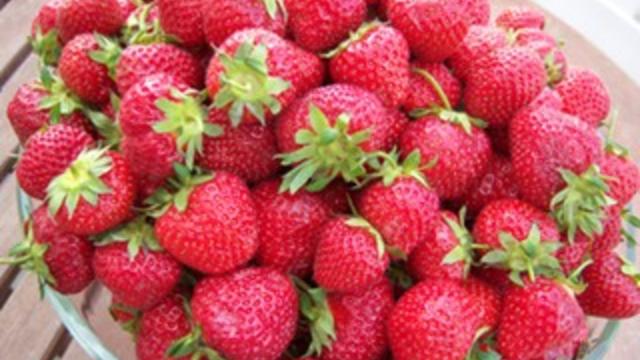 strawberries.jpg 