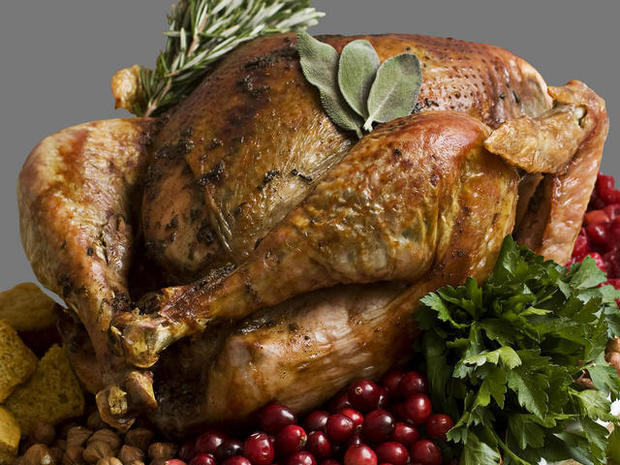 Thanksgiving Turkey  