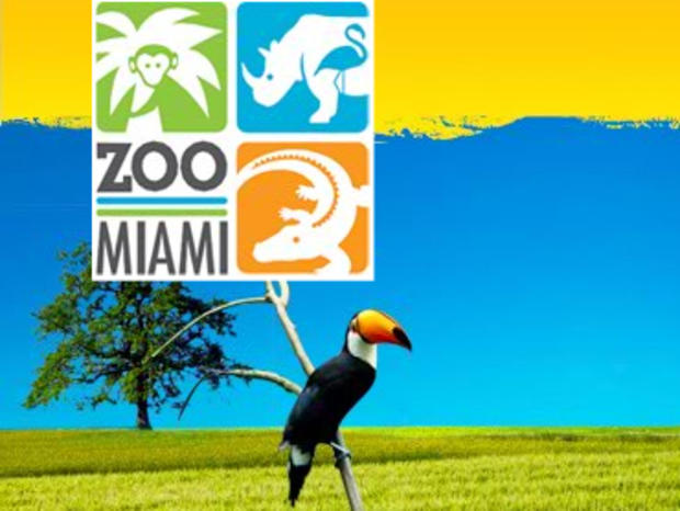 Zoo Miami 