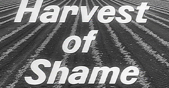 その他 Edward R Murrow Collection: Harvest of Shame [DVD] [Import] Amazon.com: Harvest of Shame : Edward R. Murrow, Fred W