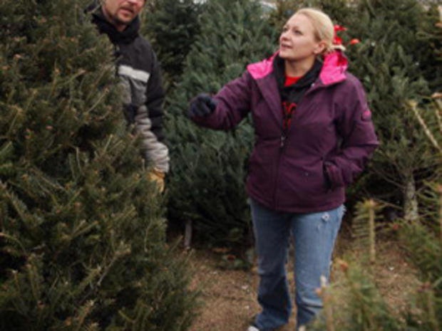 Tis The Season To Buy A Christmas Tree 