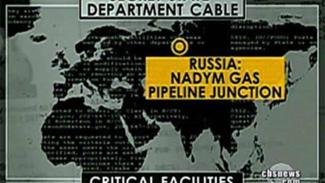 A secret State Department cable obtained by the document-dumping website WikiLeaks names the Nadym gas pipeline junction in Russia "the most critical gas facility in the world." 