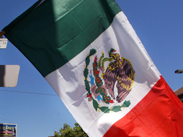 Mexican Flag 