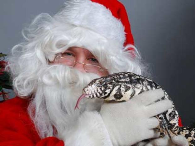 Santa And Snake 