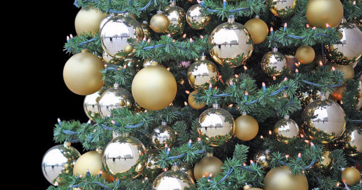 Philadelphia's Christmas Tree Recycling Program Starts Monday CBS