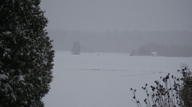 snow-covered-lake-in-kingtson-credit-stacey-young.jpg 