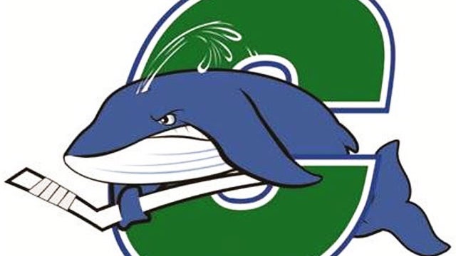 connwhale.jpg 