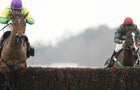 horserace.jpg 