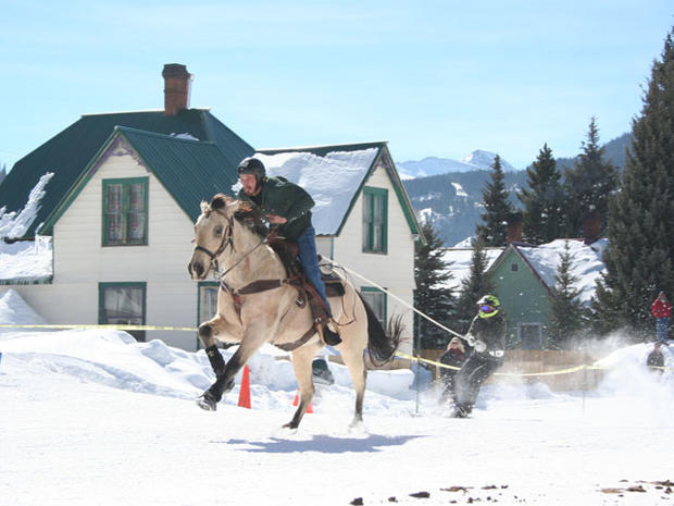 Competition Overview of SkiJoring and Crystal Festival 