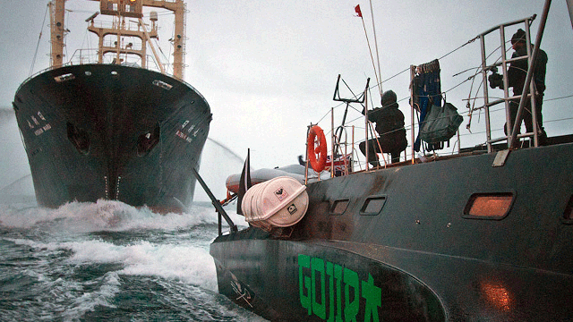 seashepherd.gif 