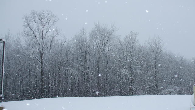 snow-in-macomb-county1.jpg 