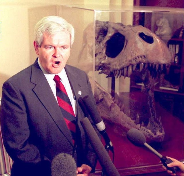 gingrich_51974449.JPG 