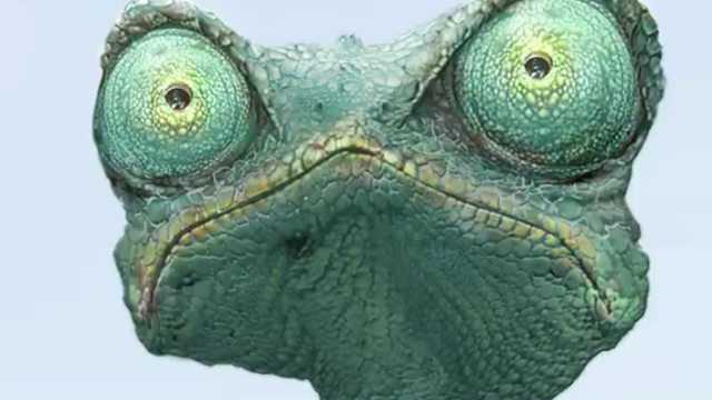 rango_1.png 