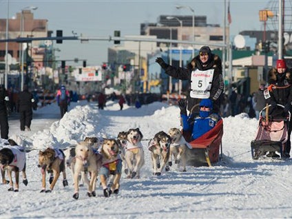 Iditarod musher Allen Moore and his team make their way through downtown Anchorage in the ceremonial start of the Iditarod Trail Sled Dog Race, March 5, 2011, in Anchorage, Alaska. 