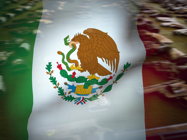 Mexico flag over Handguns 