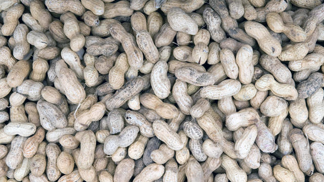 peanuts-generic.jpg 