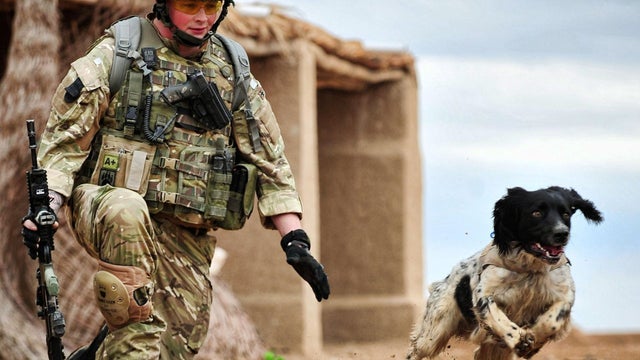 Lance Corporal Liam Tasker and Theo 