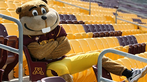 Goldy1.jpg 