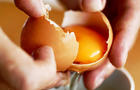 egg_yolk_iStock_00000965388.jpg 
