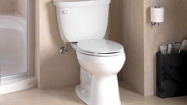 Toilets Lawn Protest? Maine man uses potties to pooh-pooh town decision 