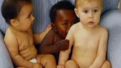 Victims: Adoption website is a scam 