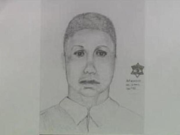 Police Sketch Of CTA Robber Who Killed Sally Katona-King 